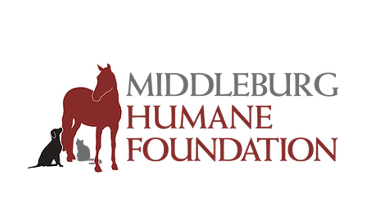 Organization's Logo