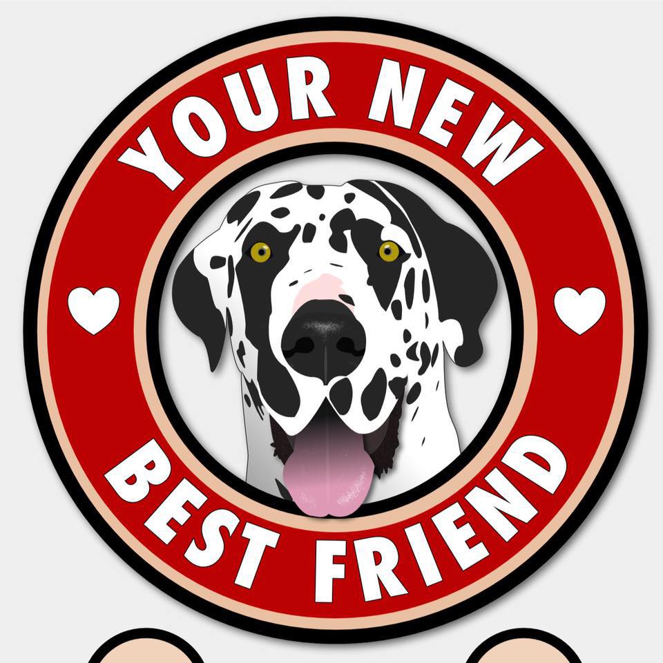 Logo for Your New Best Friend