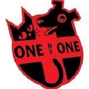 Organization's Logo