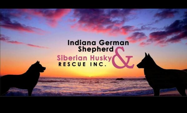 Logo for Indiana GSD and Siberian Husky Rescue