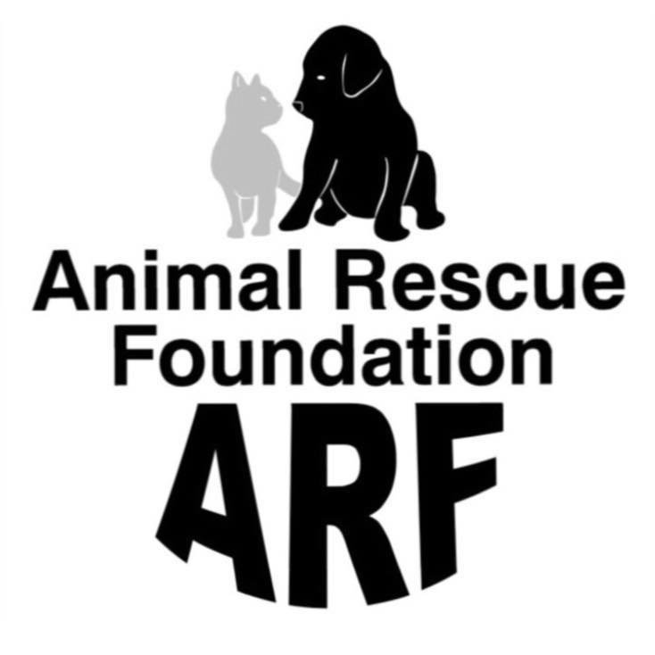 Organization's Logo