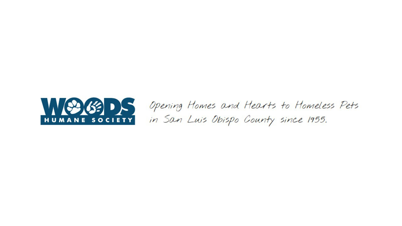 Organization's Logo