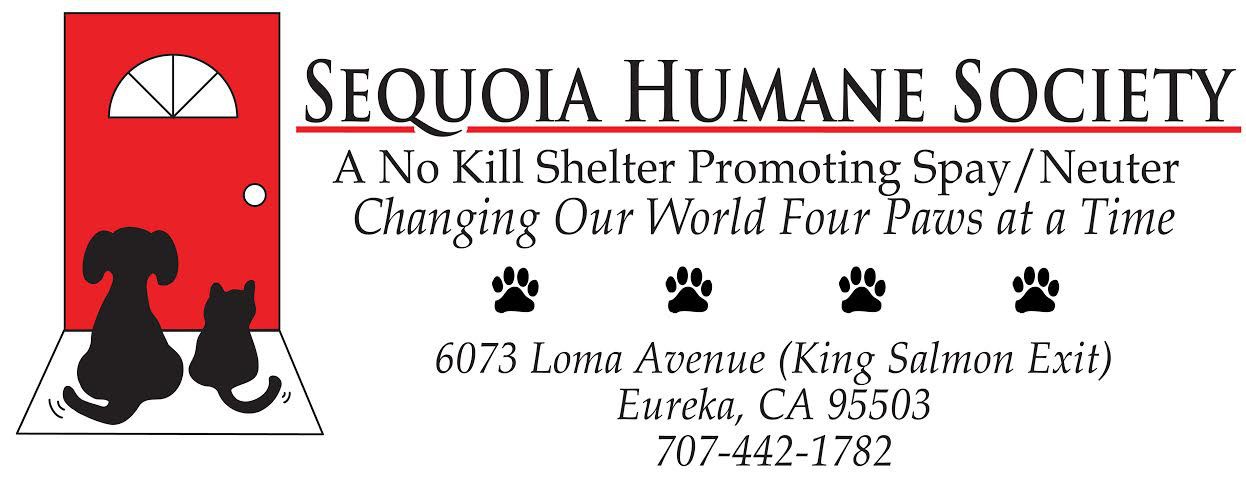 Organization's Logo