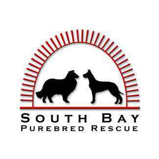 Logo for South Bay Purebred Rescue