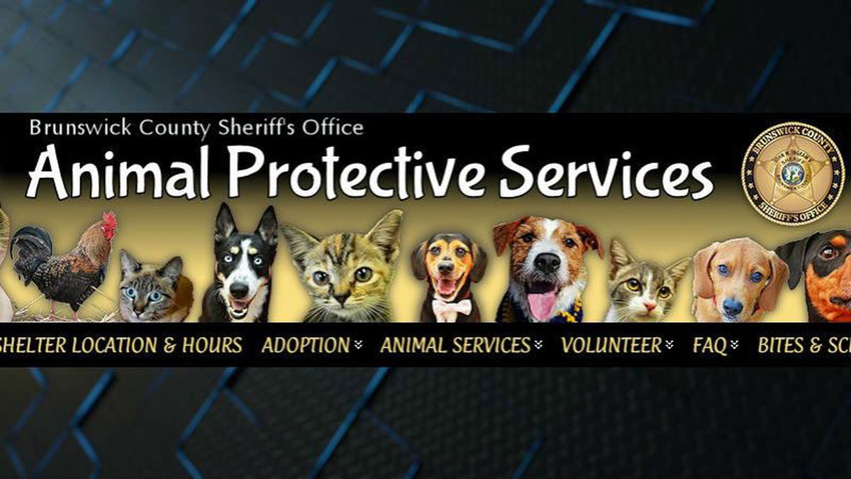 Logo for Brunswick County Animal Services
