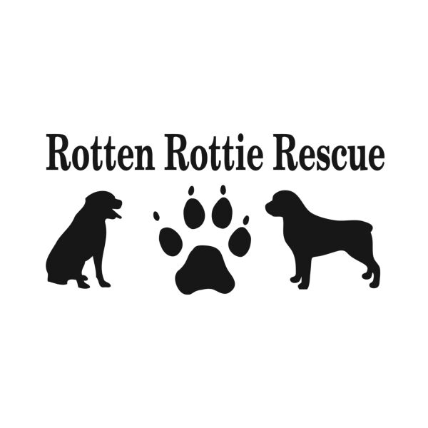 Organization's Logo