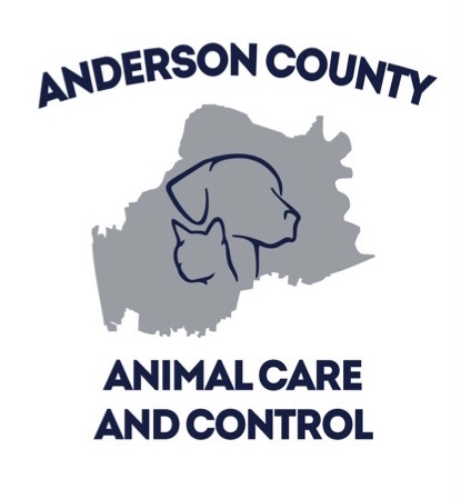 Organization's Logo