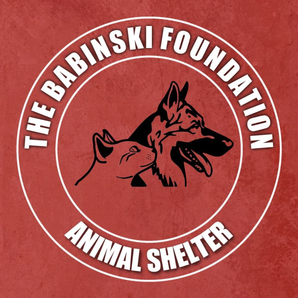 Logo for The Babinski Foundation
