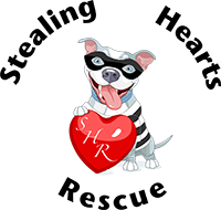 Logo for Stealing Hearts