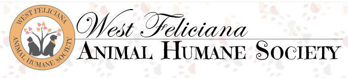 Organization's Logo