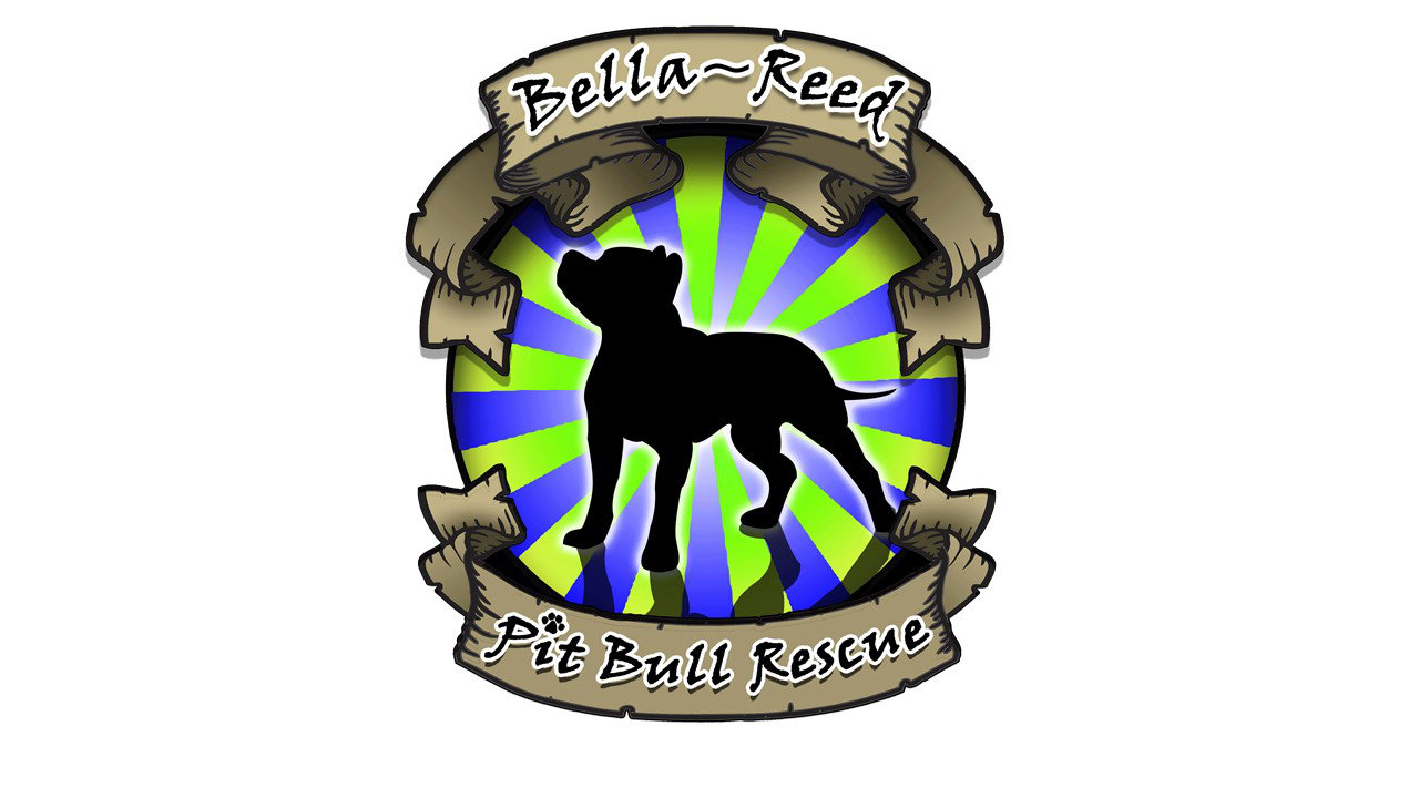 Organization's Logo