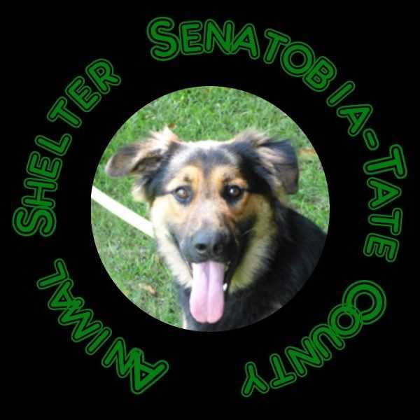 Logo for Senatobia-Tate County Animal Shelter