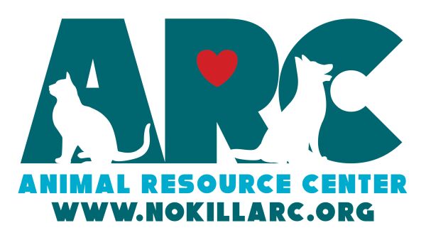 Organization's Logo