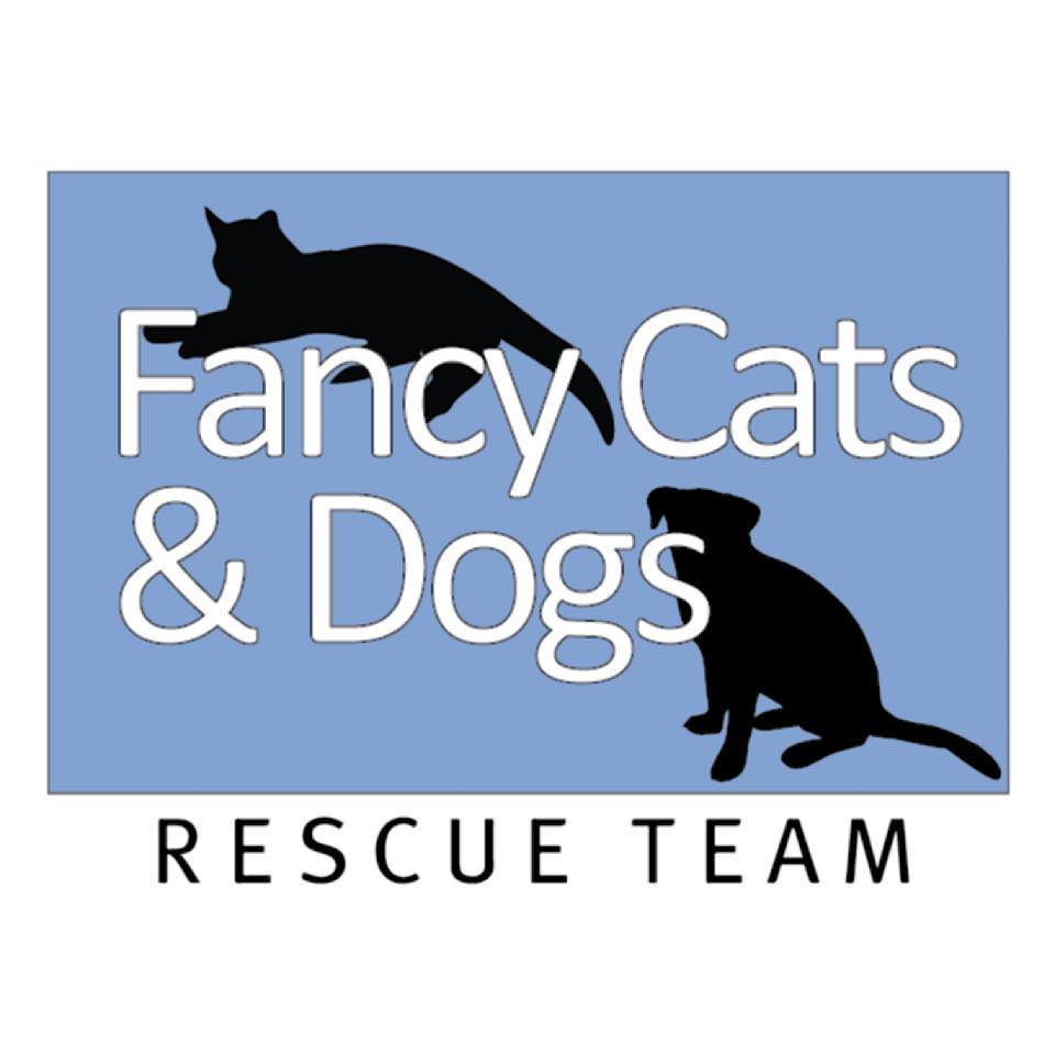 Logo for Fancy Cats & Dogs Rescue Team