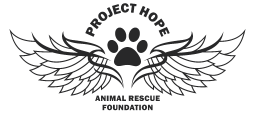 Organization's Logo
