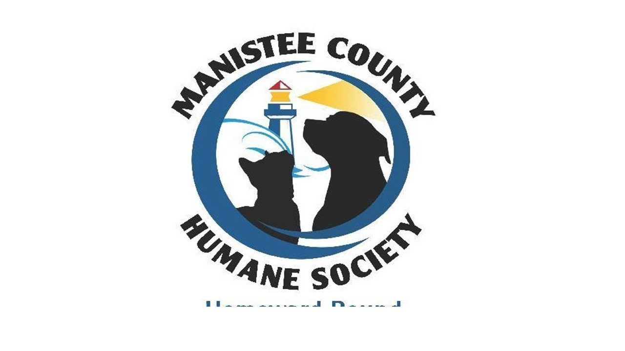 Organization's Logo