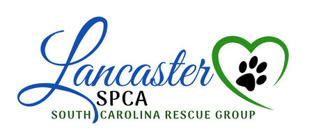 Organization's Logo