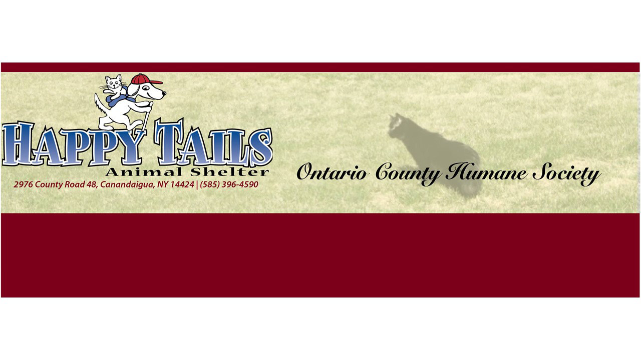 Logo for Ontario County Humane Society/Happy Tails Animal Shelter