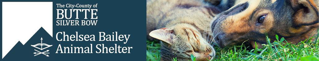 Logo for Chelsea Bailey Butte Silver Bow Animal Shelter