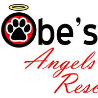 Organization's Logo