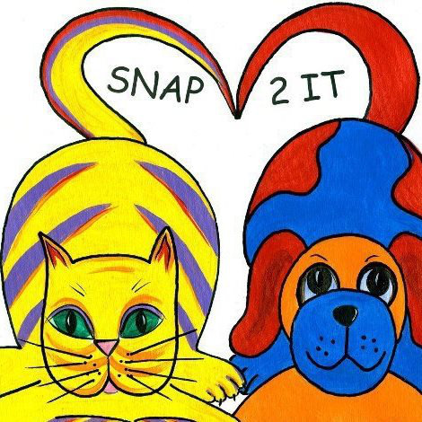 Logo for Snap 2 It