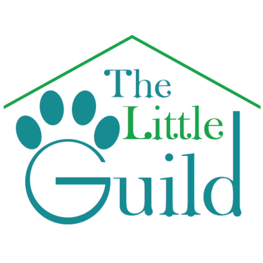 Organization's Logo