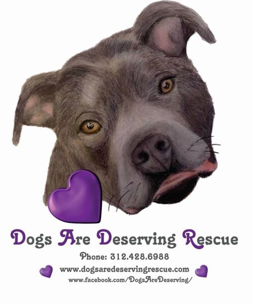 Logo for Dogs Are Deserving Rescue