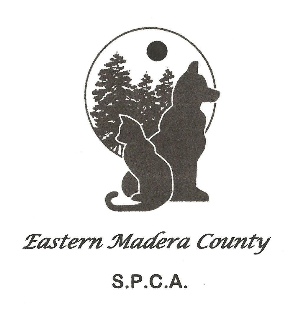 Organization's Logo