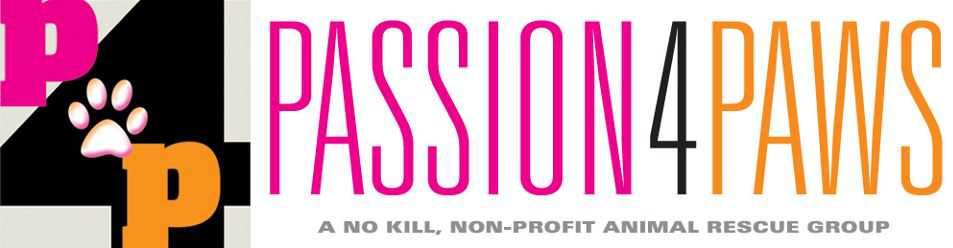 Logo for Passion 4 Paws