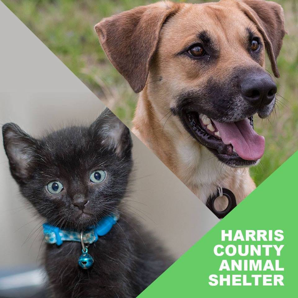 Logo for Harris County Pets