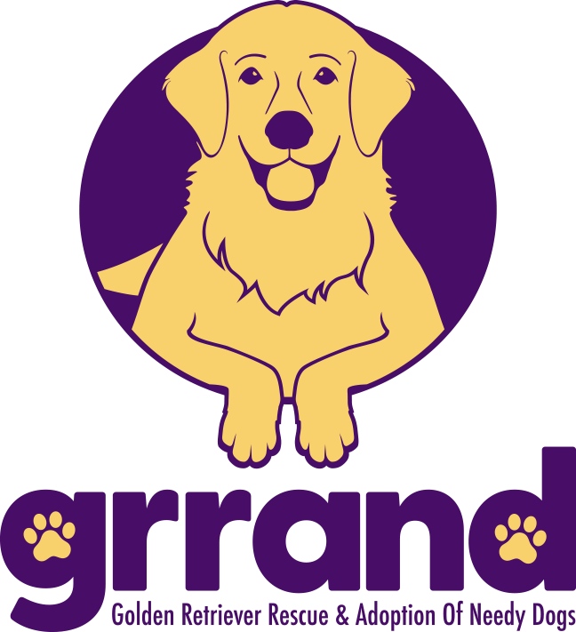 Organization's Logo