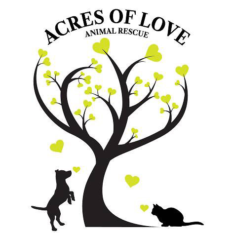 Organization's Logo