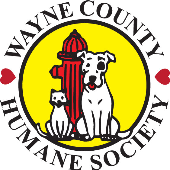 Organization's Logo