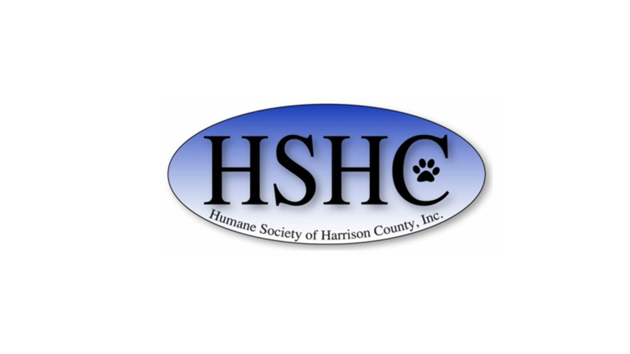 Organization's Logo