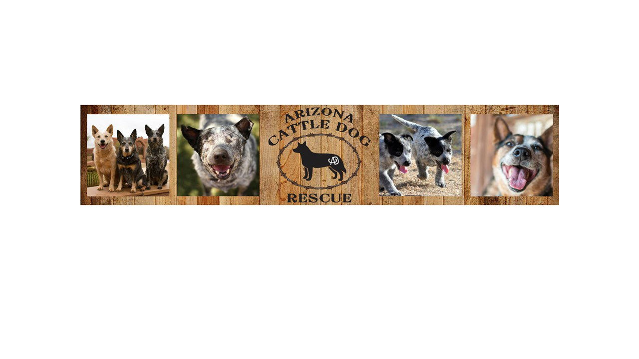 Logo for Arizona Cattle Dog Rescue