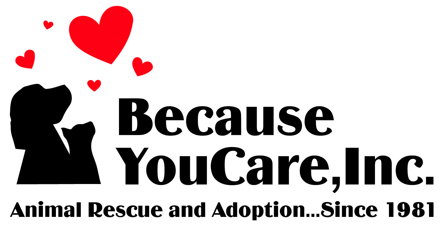 Logo for Because You Care