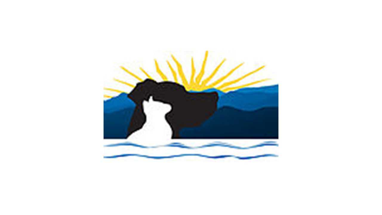 Organization's Logo