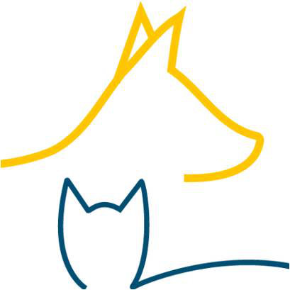 Organization's Logo