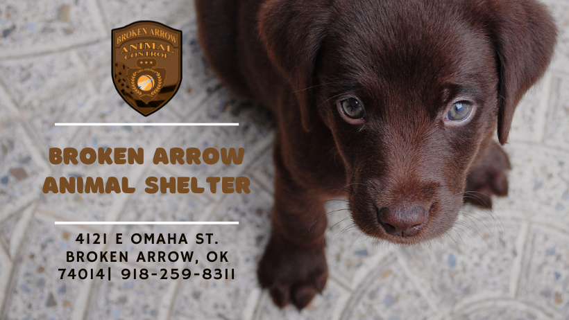 Logo for Broken Arrow Animal Shelter