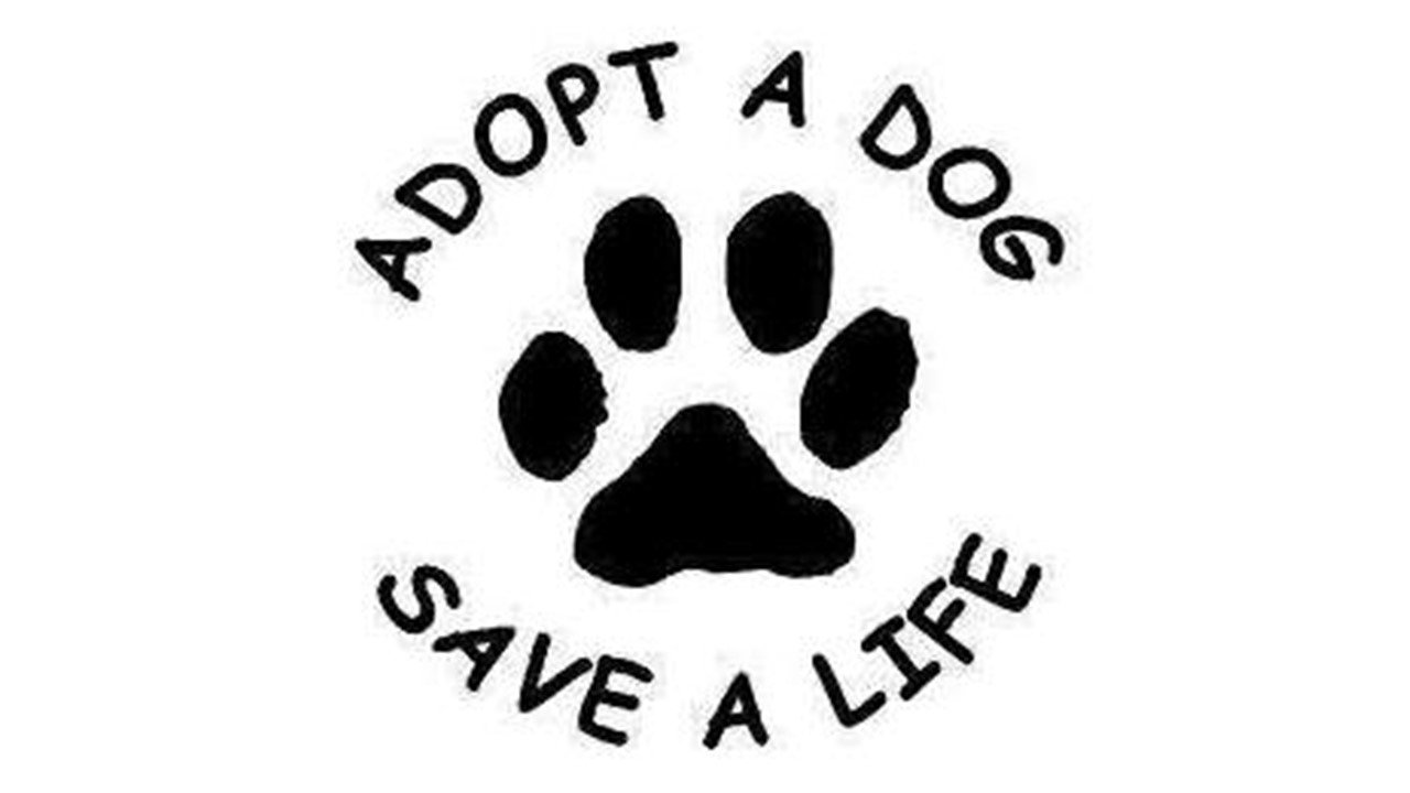 Logo for 2 Many Dogs Rescue