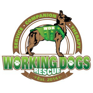 Organization's Logo