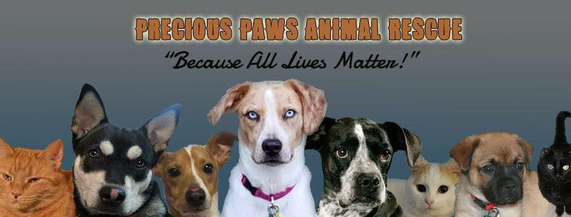Logo for Precious Paws Animal Rescue