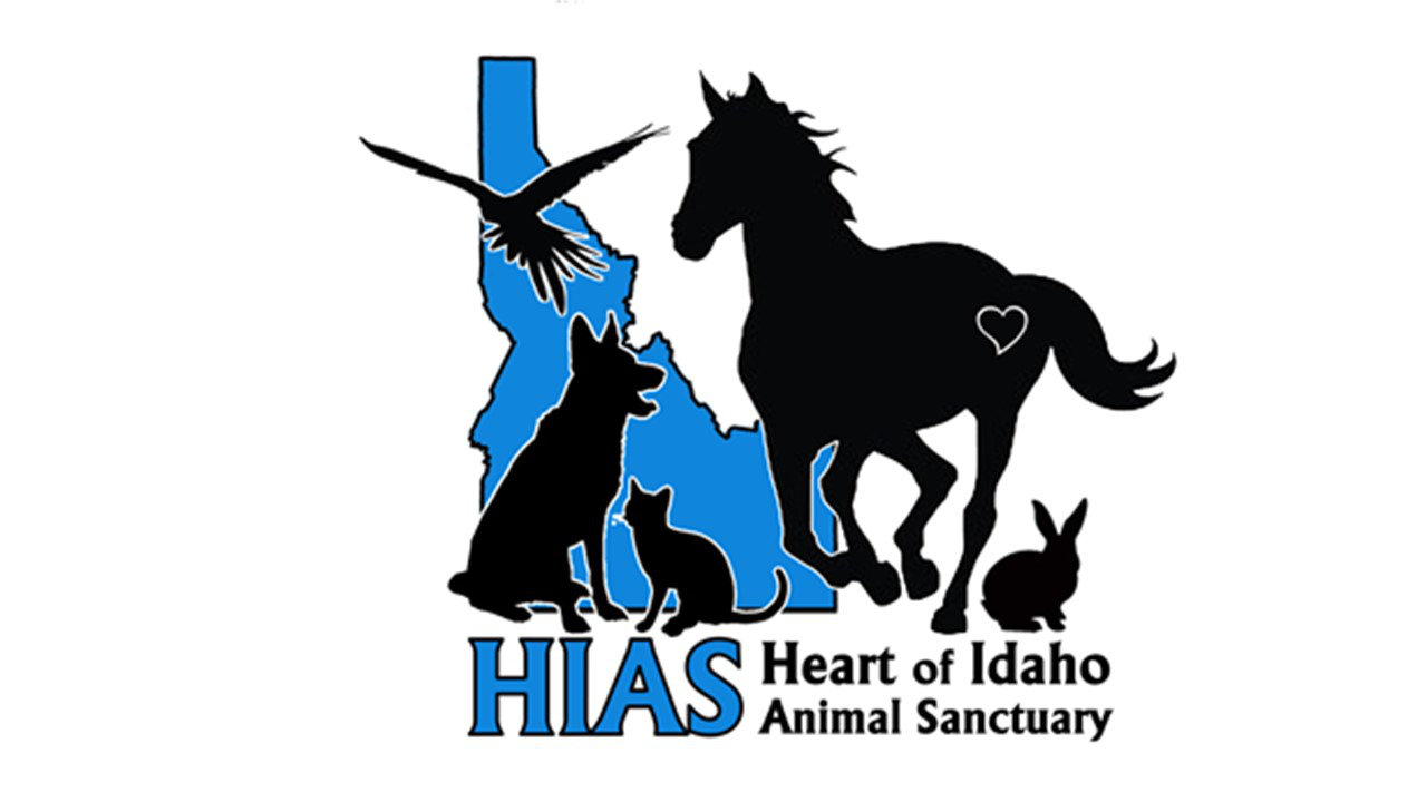 Organization's Logo