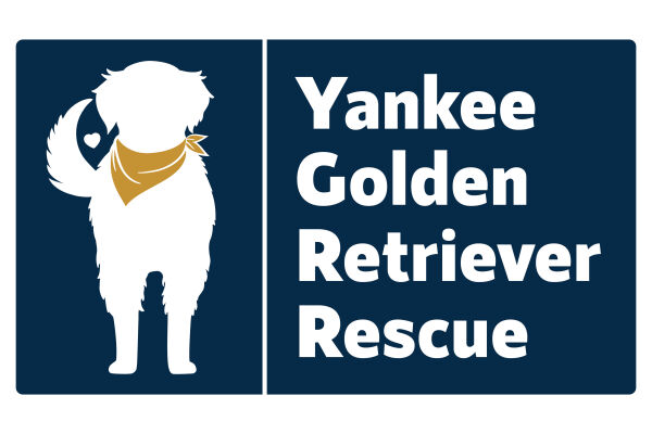 Logo for Yankee Golden Retriever Rescue