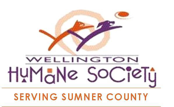 Organization's Logo