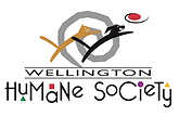 Organization's Logo