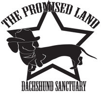 Logo for The Promised Land Dachshund Sanctuary
