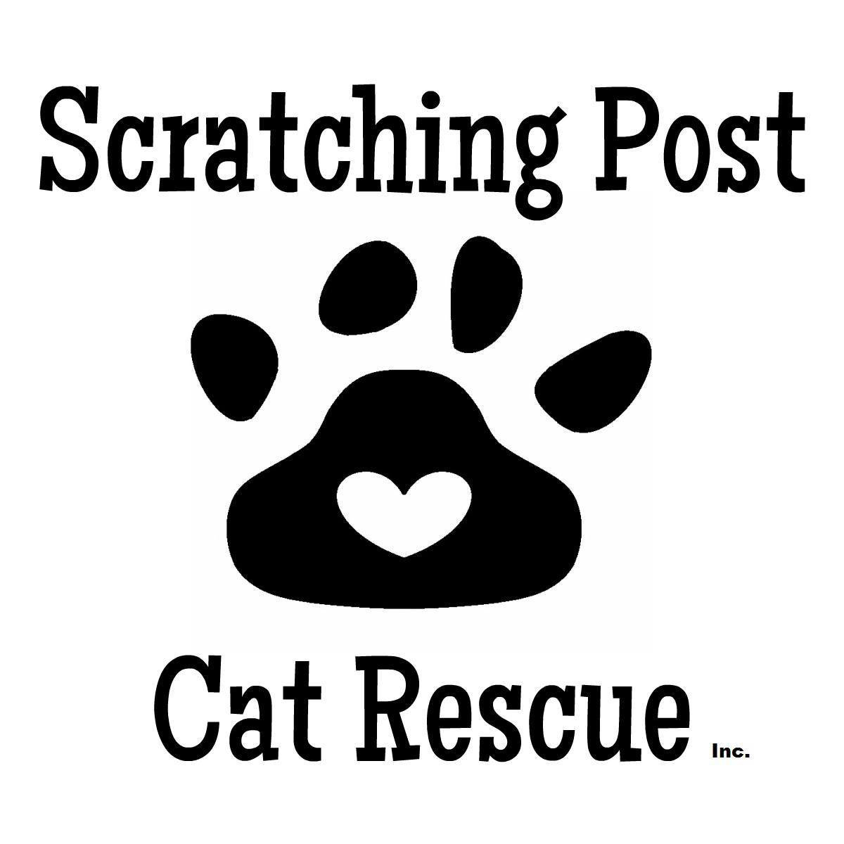 The scratching shop post cat rescue