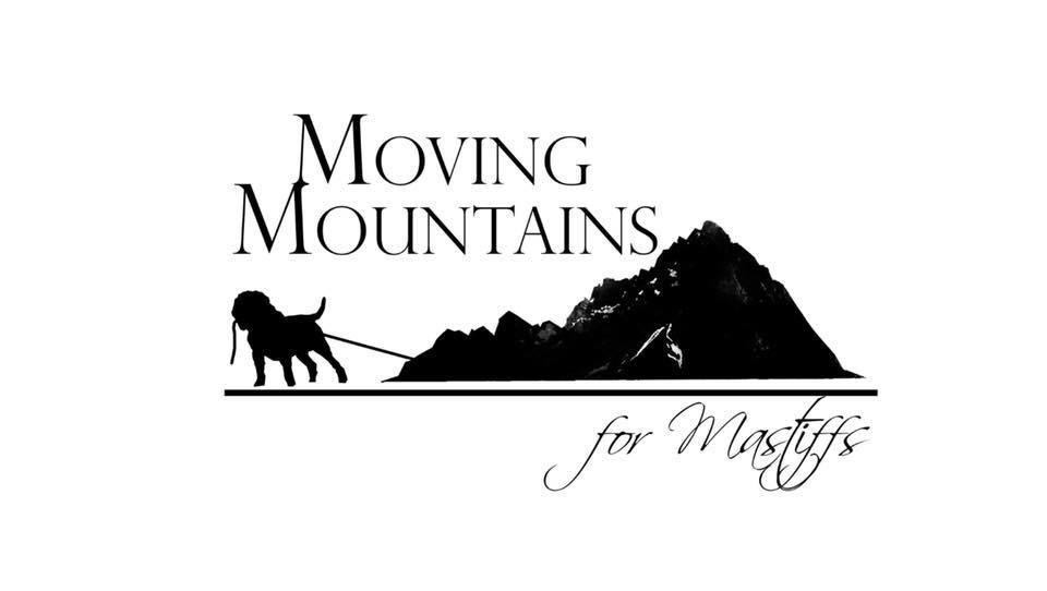 Organization's Logo