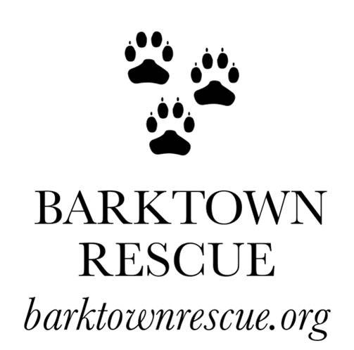 Logo for Barktown Rescue